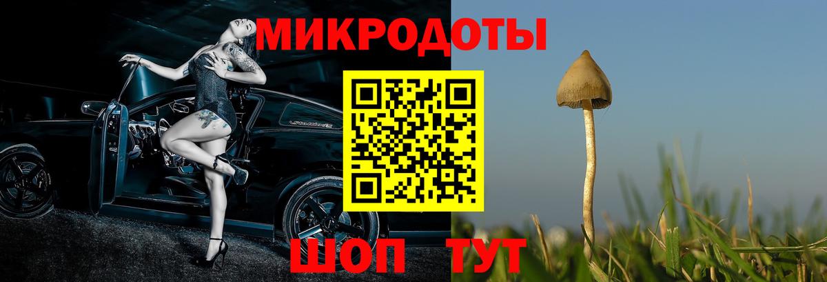 Галлюциногенные грибы Psilocybine cubensis  Вход с VPN  Усть-Илимск 